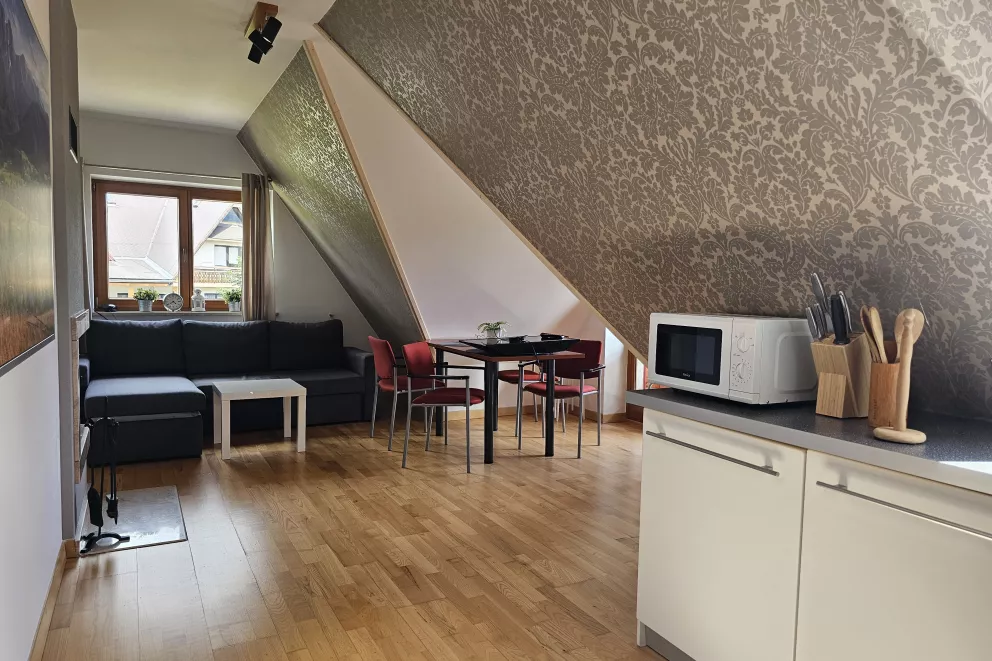 Mountain View Studio Snowbird Residence Budzówka 33 m 11 Kościelisko