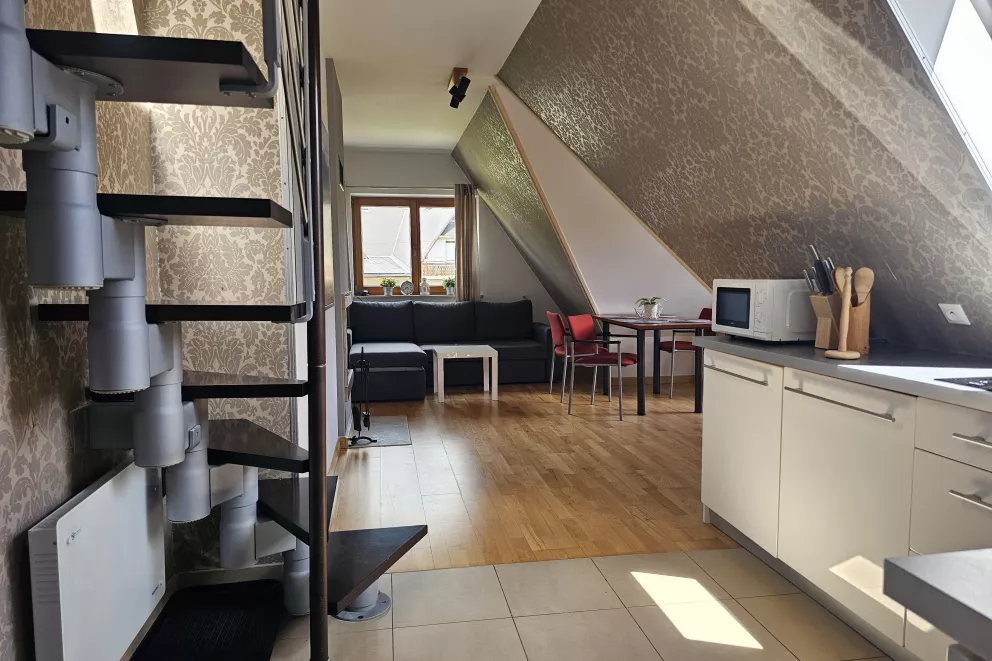 Mountain View Studio Snowbird Residence Budzówka 33 m 11 Kościelisko