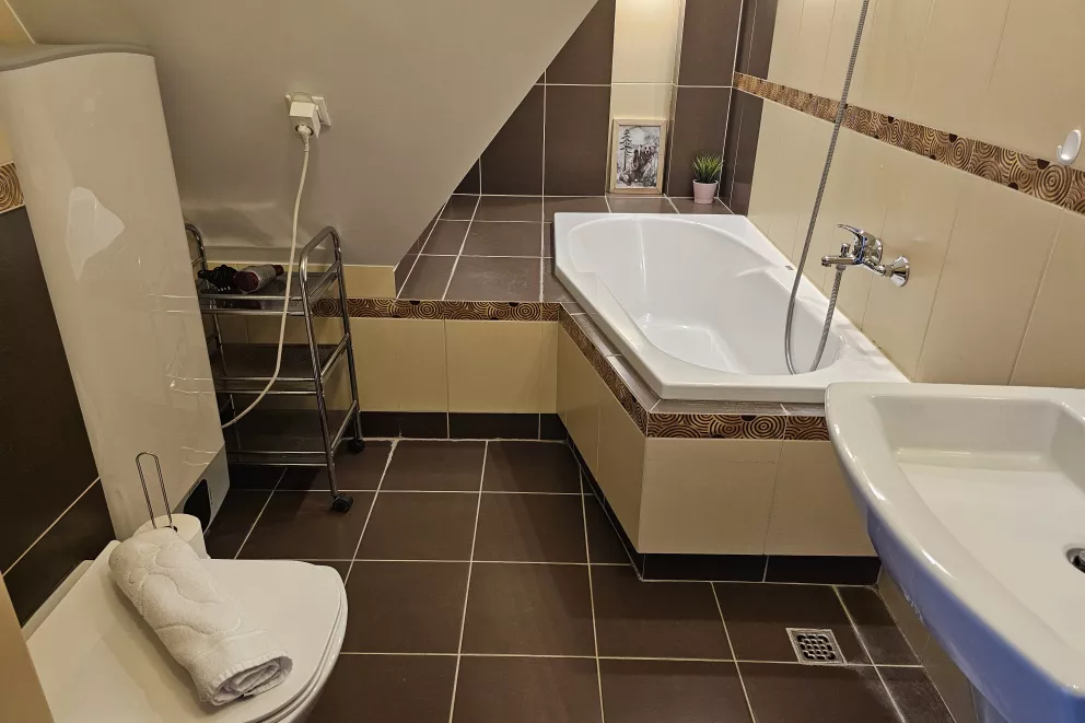 Mountain View Studio Snowbird Residence Budzówka 33 m 11 Kościelisko
