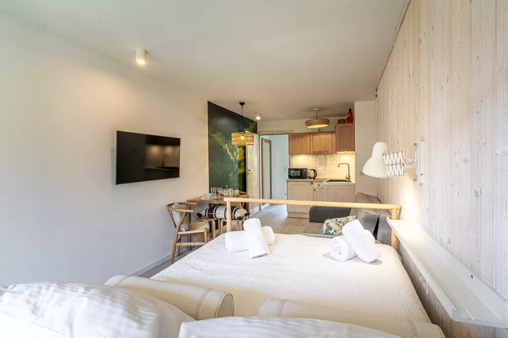 Apartament Studio Butikowy nr2 & Sauna