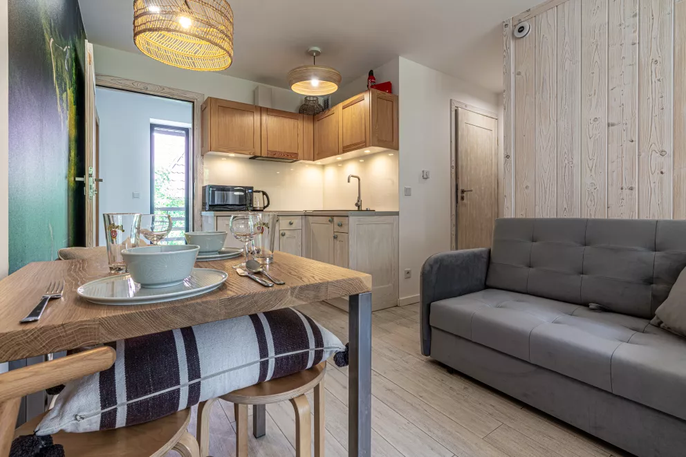 Apartament Studio Butikowy nr2 & Sauna