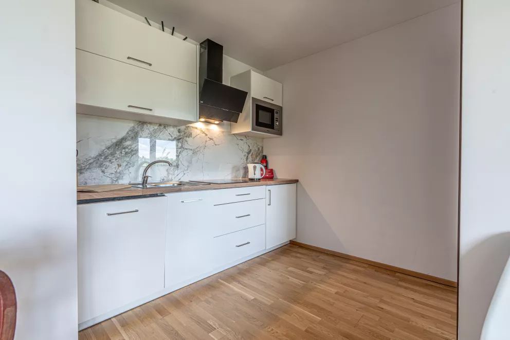 apartamenty z widokiem Willa Krole 25A ap4