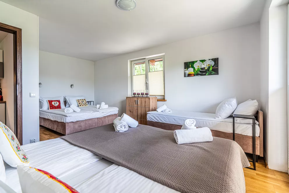 apartamenty z widokiem Willa Krole 25A ap4