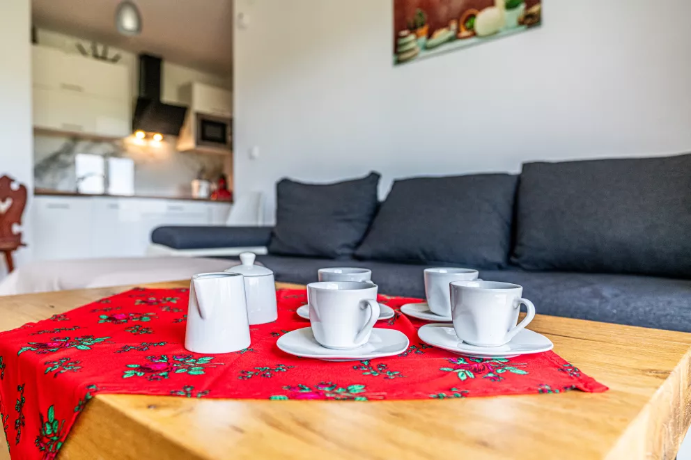 apartamenty z widokiem Willa Krole 25A ap4