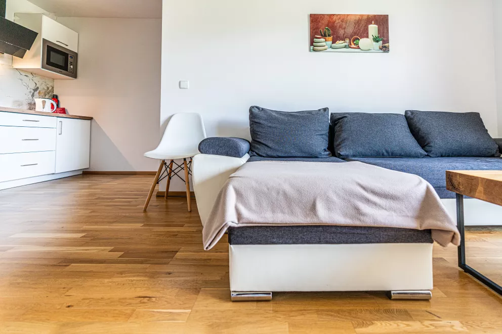apartamenty z widokiem Willa Krole 25A ap4