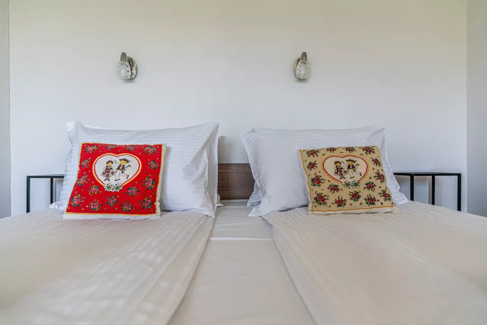 apartamenty z widokiem Willa Krole 25A ap4