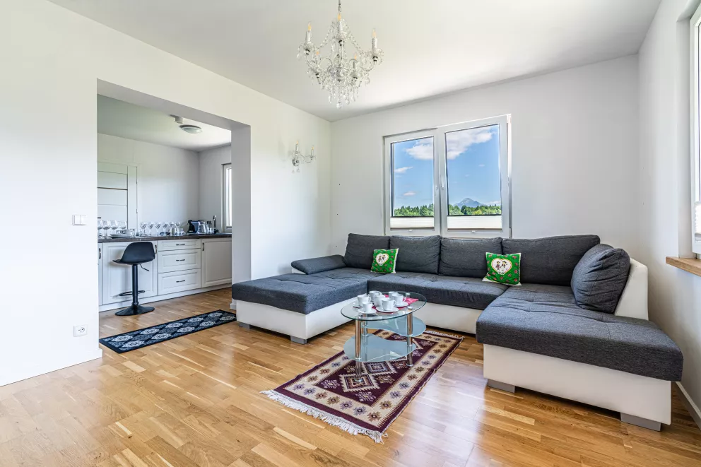 apartamenty z widokiem Willa Krole 25A ap1