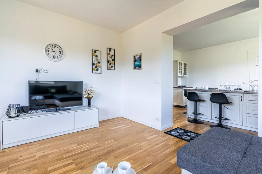 apartamenty z widokiem Willa Krole 25A ap1