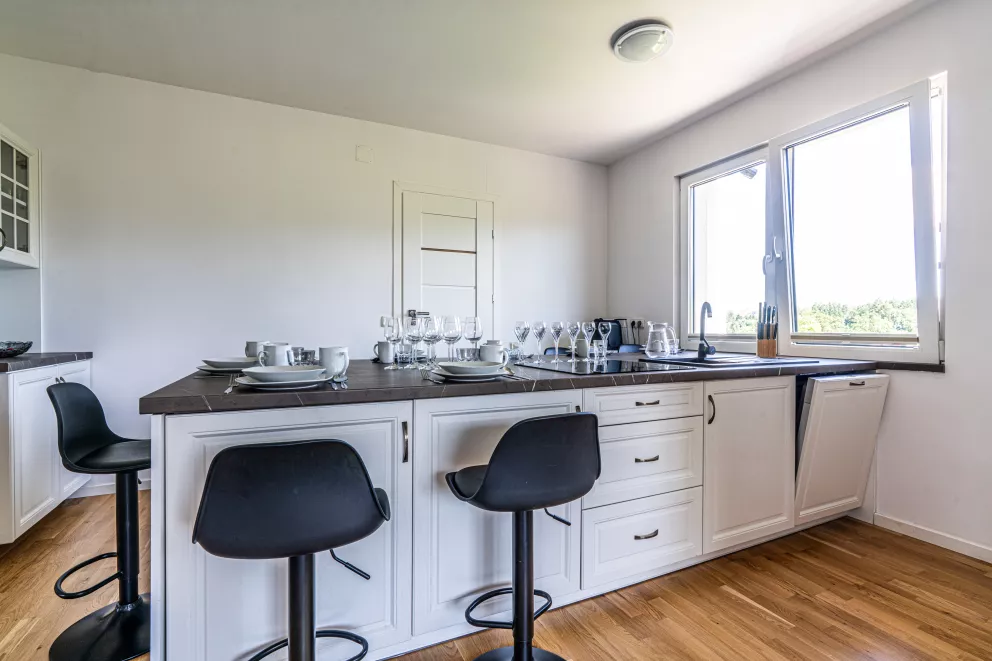 apartamenty z widokiem Willa Krole 25A ap1