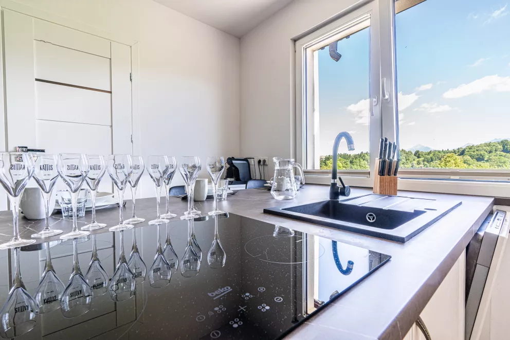 apartamenty z widokiem Willa Krole 25A ap1