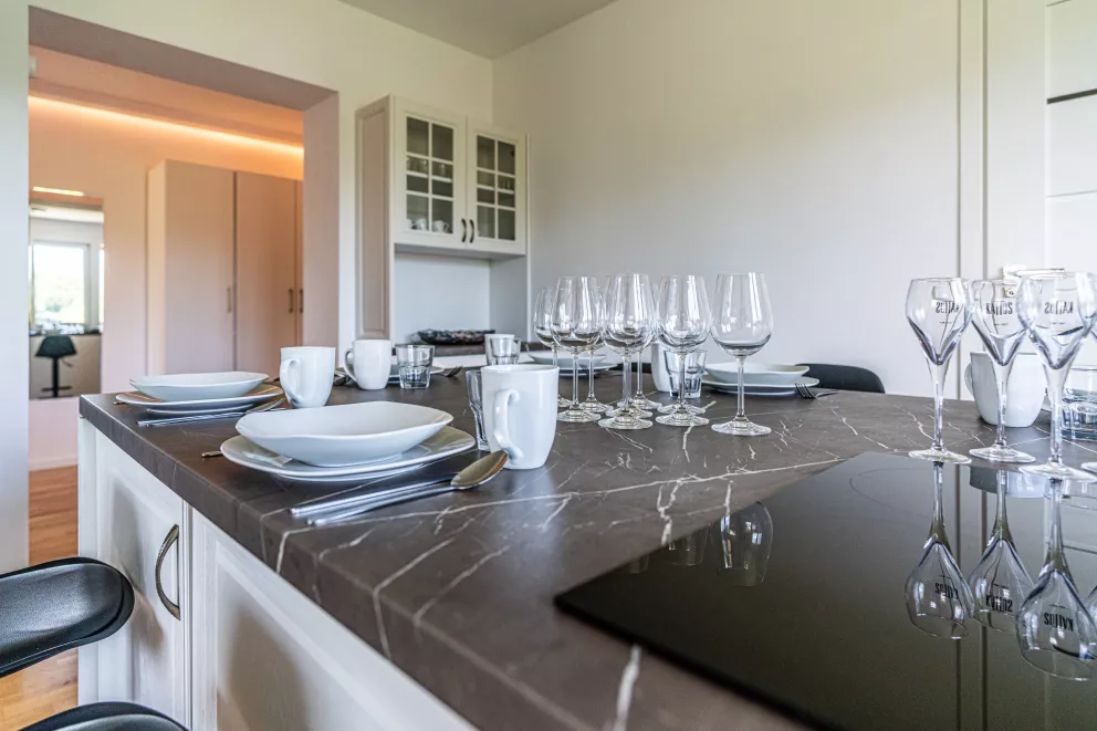 apartamenty z widokiem Willa Krole 25A ap1