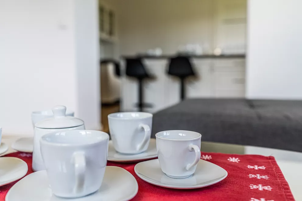apartamenty z widokiem Willa Krole 25A ap1