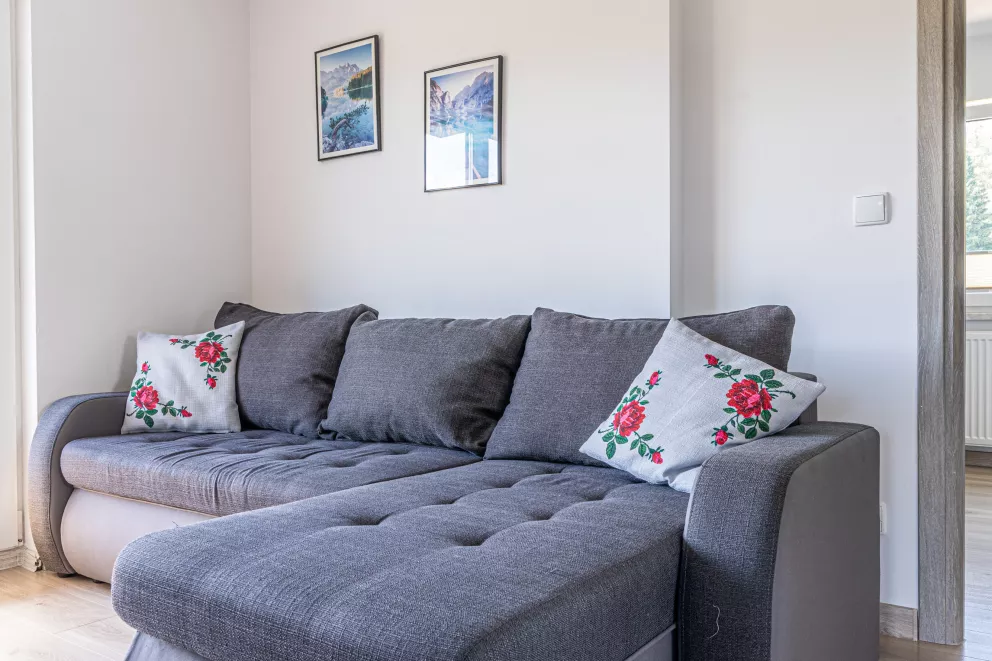 apartamenty z widokiem Willa Krole 25A ap2