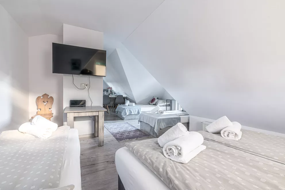 apartamenty z widokiem Willa Krole 25A ap3
