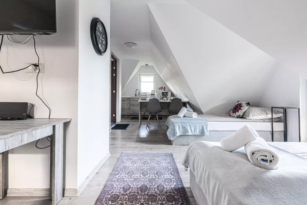 apartamenty z widokiem Willa Krole 25A ap3
