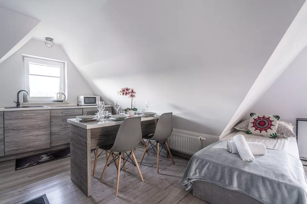 apartamenty z widokiem Willa Krole 25A ap3