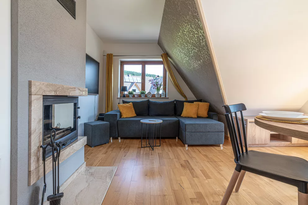 Mountain View Studio Snowbird Residence Budzówka 33 m 11 Kościelisko