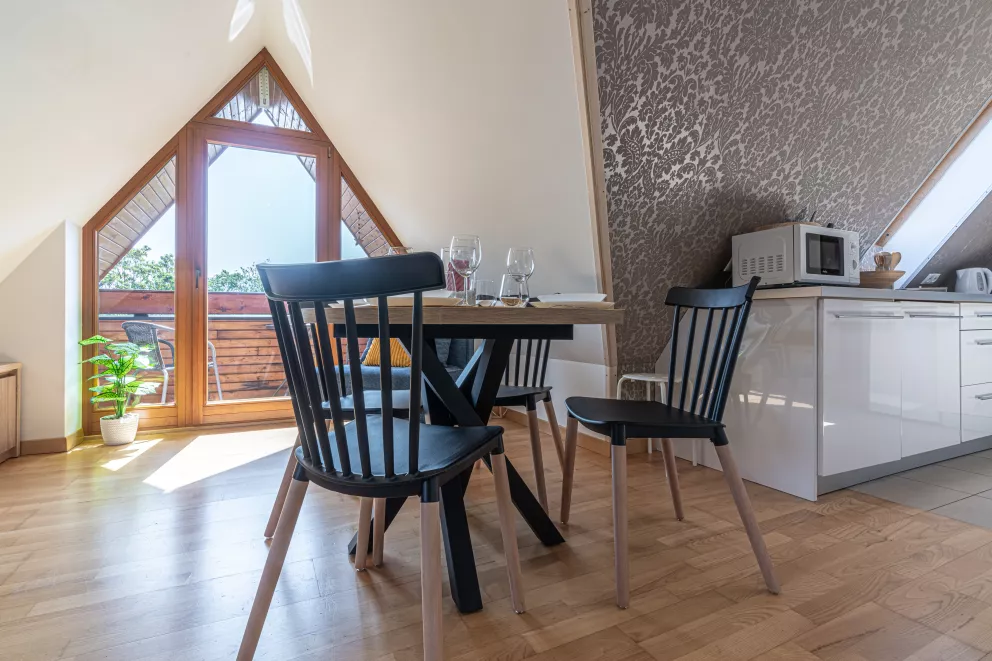 Mountain View Studio Snowbird Residence Budzówka 33 m 11 Kościelisko