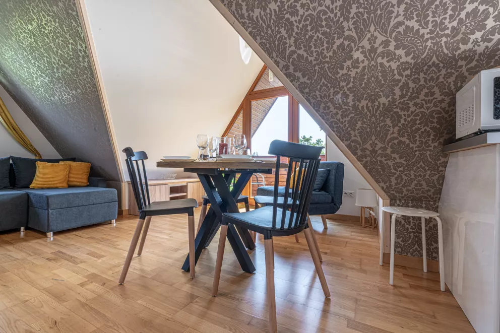 Mountain View Studio Snowbird Residence Budzówka 33 m 11 Kościelisko