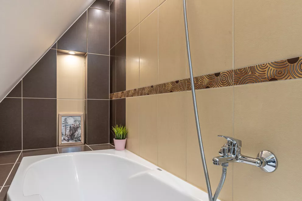 Mountain View Studio Snowbird Residence Budzówka 33 m 11 Kościelisko