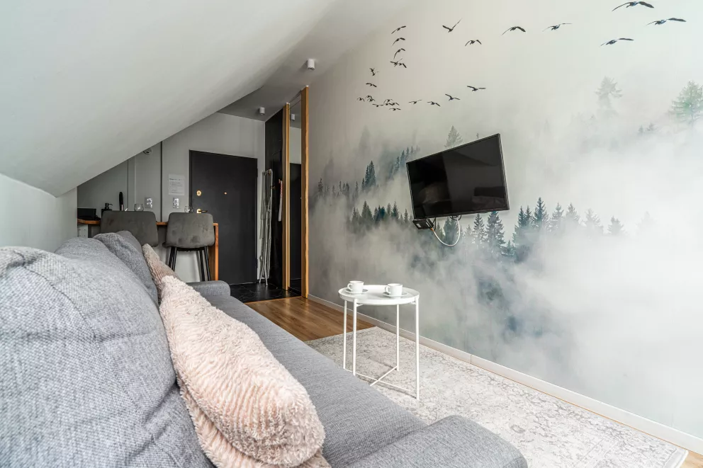 Apartament 4 osobowy Styl, Brzozowa, Zakopane, 34m2, 4 osoby, 2 łóżka