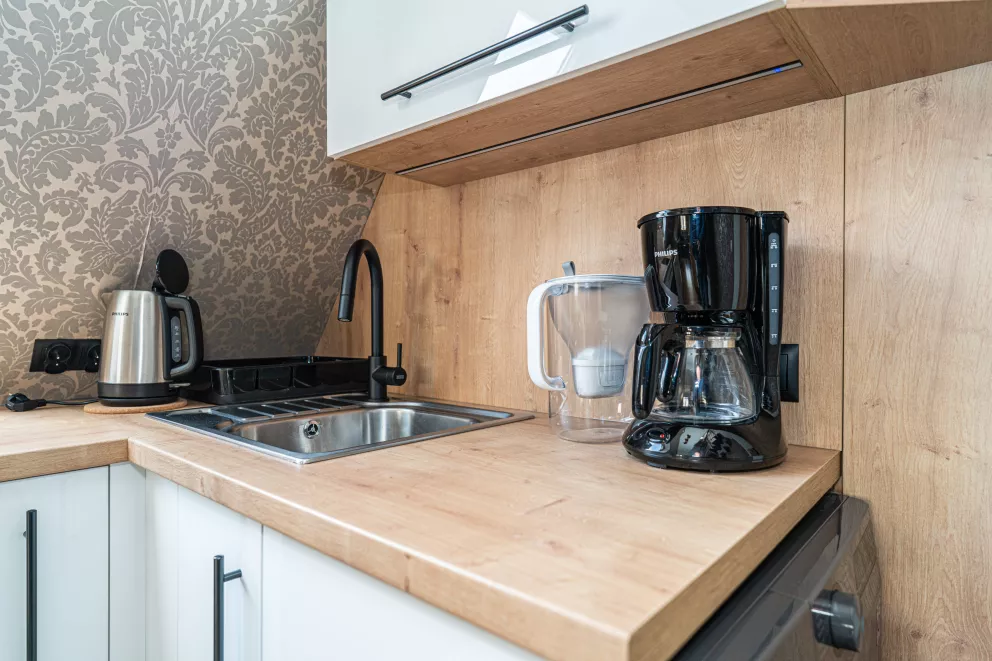 Mountain View Studio Snowbird Residence Budzówka 33 m 11 Kościelisko
