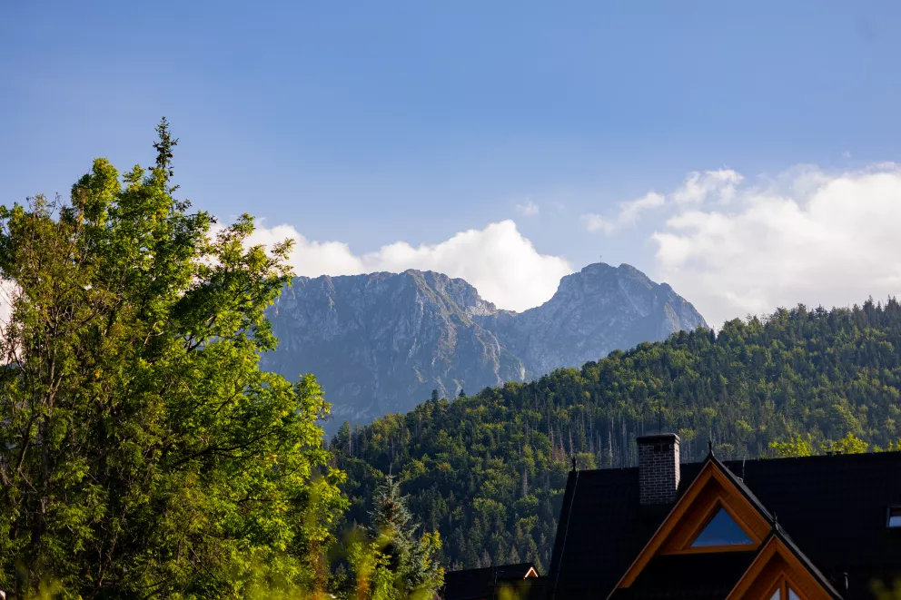 Apartament Giewont View Droga do Walczaków 30
