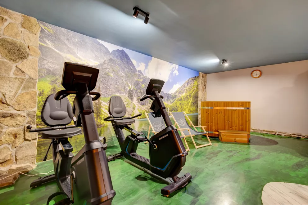 willa 52 residence spa krzeptówki zakopane ap3