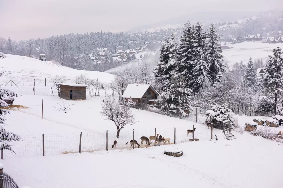 willa 52 residence spa krzeptówki zakopane ap7